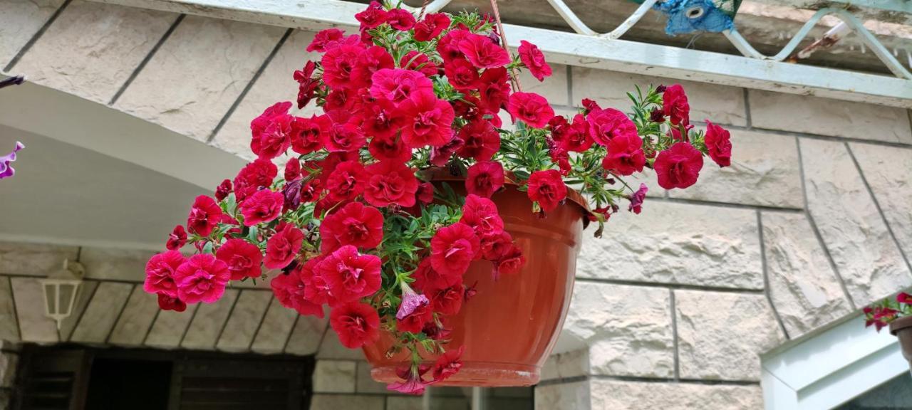 Apartments 1000 Flowers Стари Град Екстериор снимка