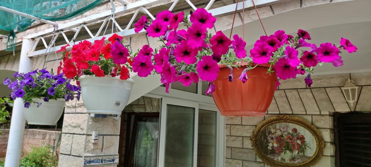 Apartments 1000 Flowers Стари Град Екстериор снимка